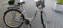 Rower Cossack damka