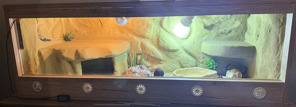 Terrarium dla agamy, gekona itp.