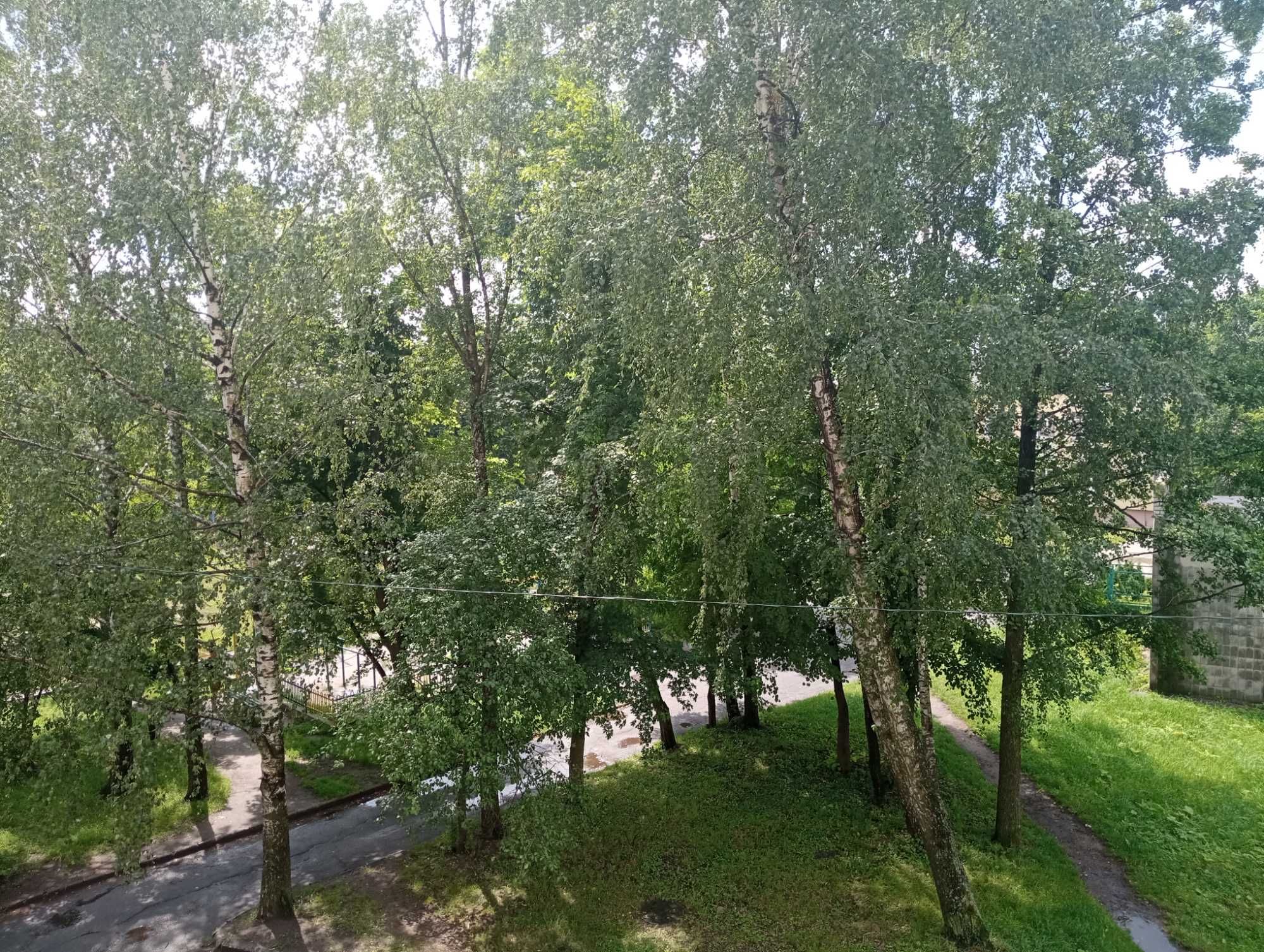 Здам в довгострокову оренду двокімнатну квартиру в центрі