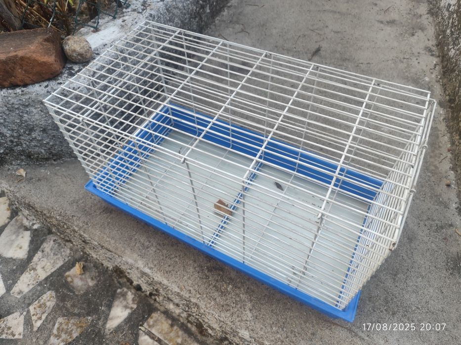 Gaiola para animais