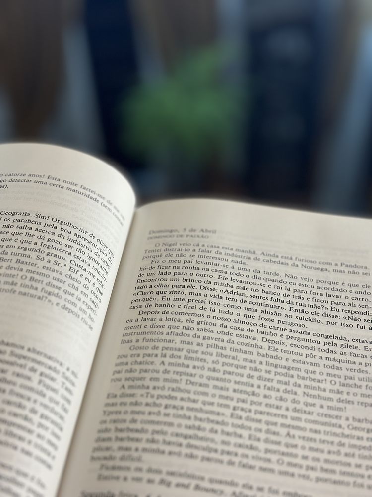 O Diário Secreto de Adrian Mole aos 13 anos e 3/4 - Sue Townsend