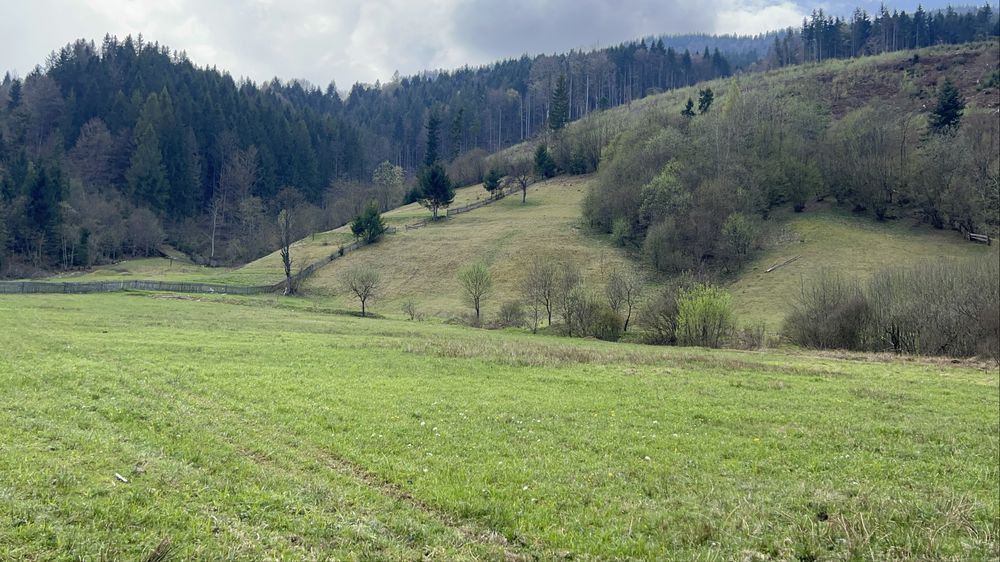 Земля в Карпатах у горах