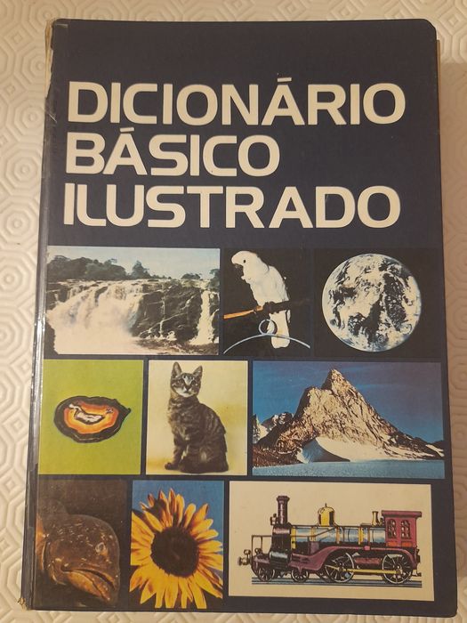 Dicionário básico ilustrado
