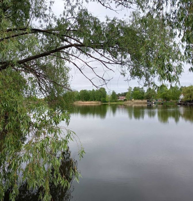 Сдам дом с виходом на воду Козин Конча Заспа