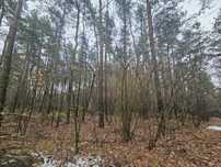 Sprzedam las i grunty calość 3,16ha