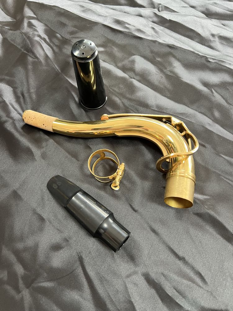 Saxofone Tenor Roy Benson TS-202