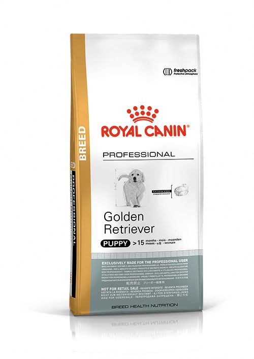 Royal Canin Golden Retriever Puppy