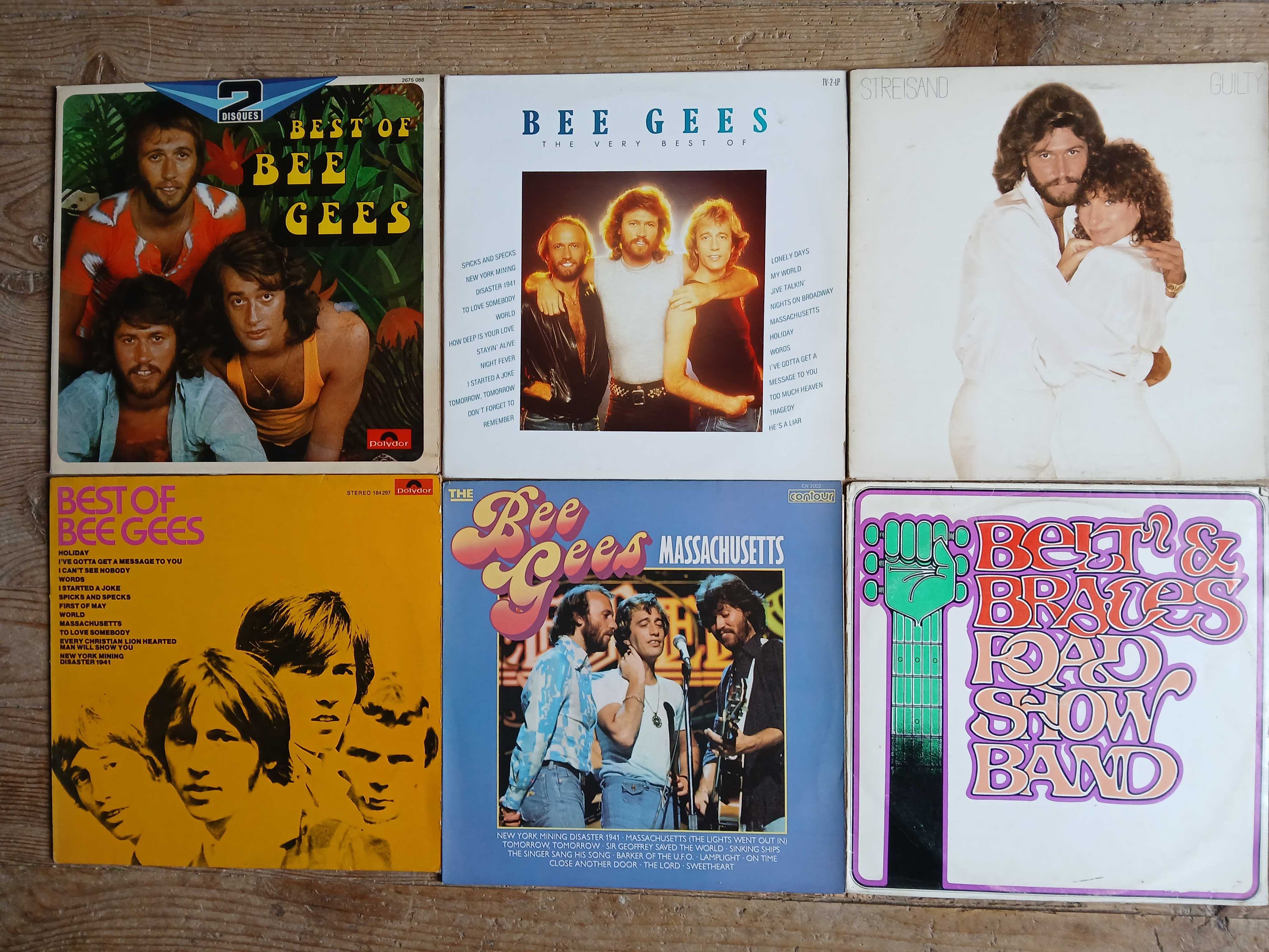 COLEÇÃO Vinil lp  B
