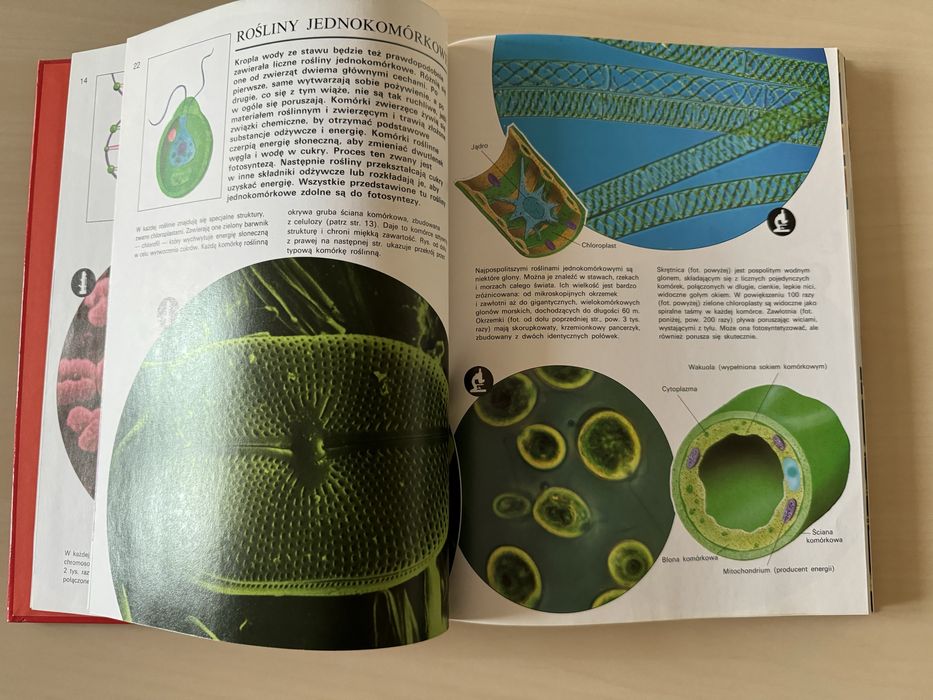 Świat pod mikroskopem