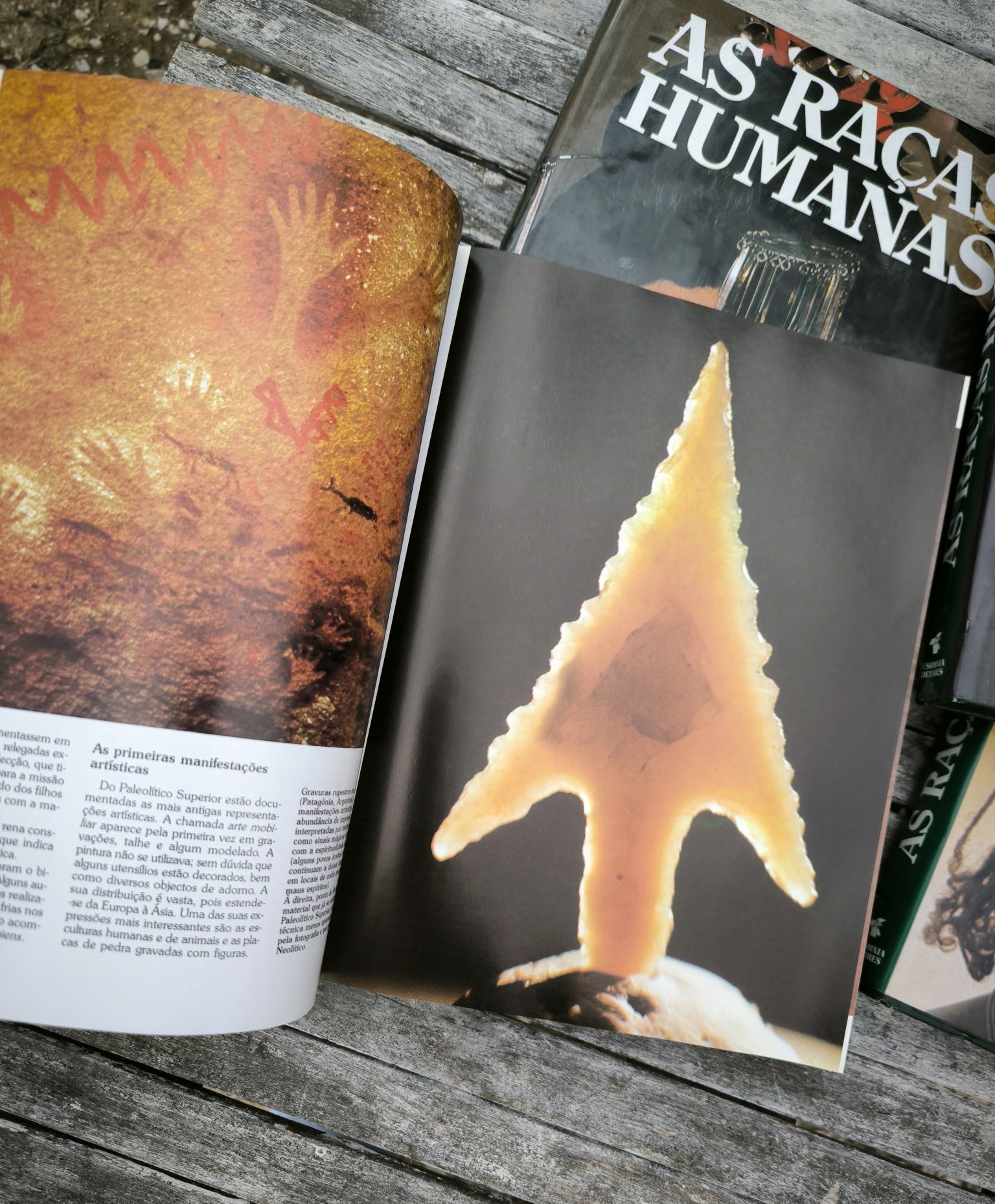 Coleção "As Raças Humanas"