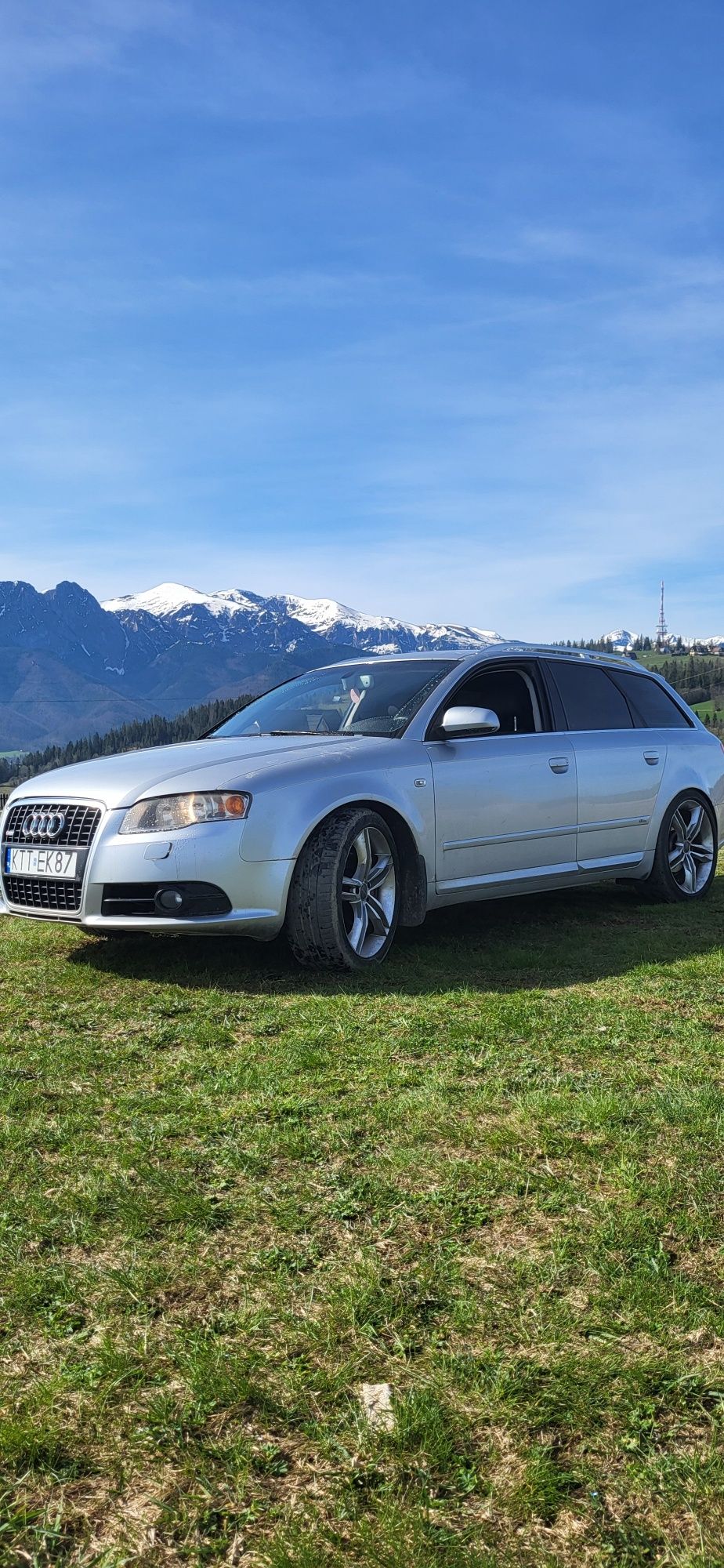 Audi a4b7 2.0T quattro.