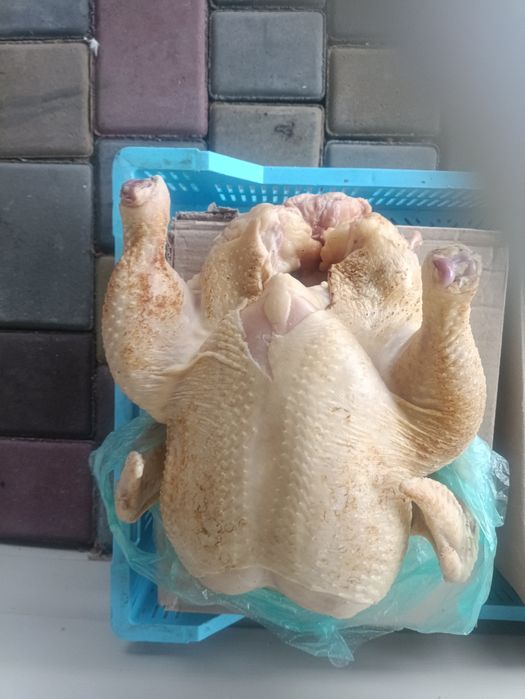Продам тушки домашніх бройлерів