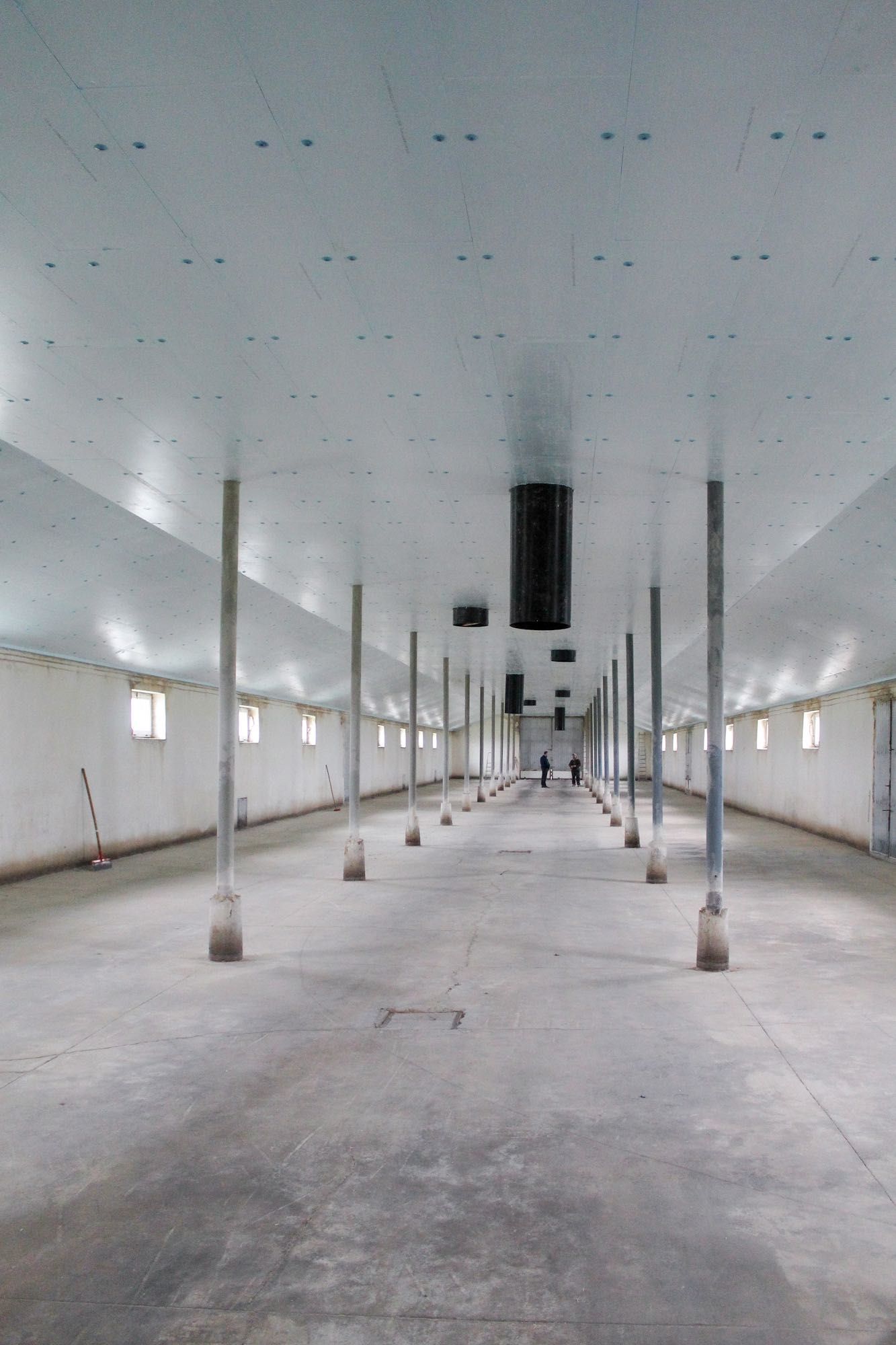 Sufit Podwieszany Ocieplenie Izolacja Dachu Podbitka Styrodur XPS AGRO