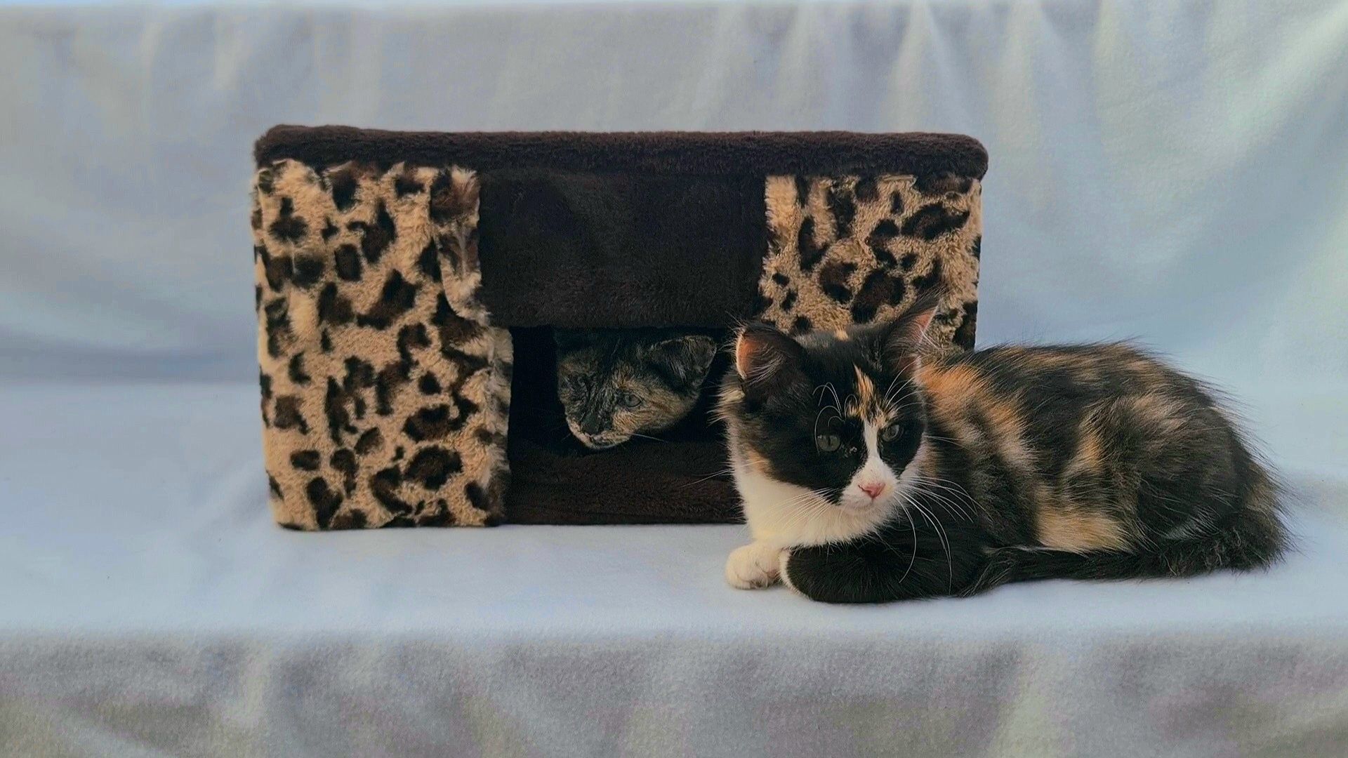 Cama de Animais Luxuosa de Pelo Leopardo e Castanho