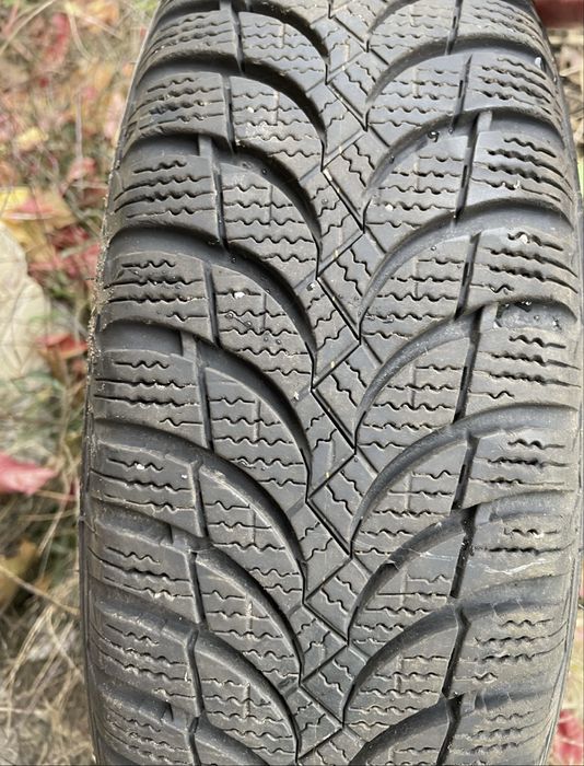 Резина зимова Nexen Winguard 165/70/14