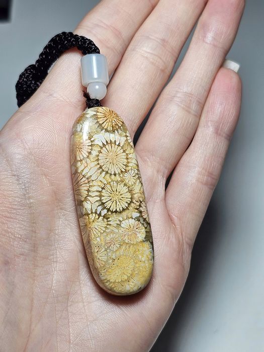 Koral kopalny naturalny.