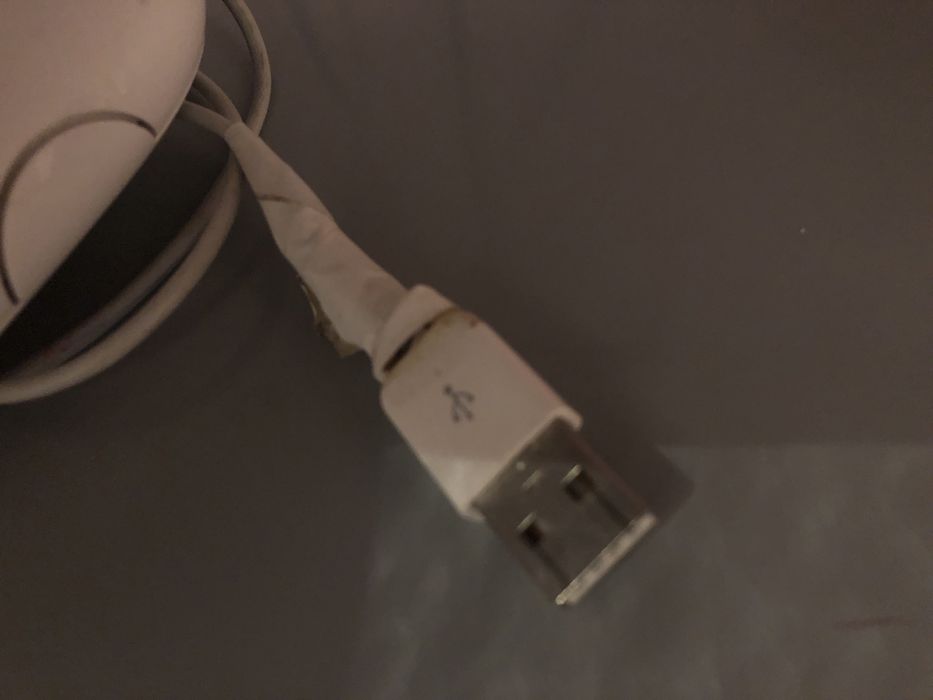 Rato apple avariado