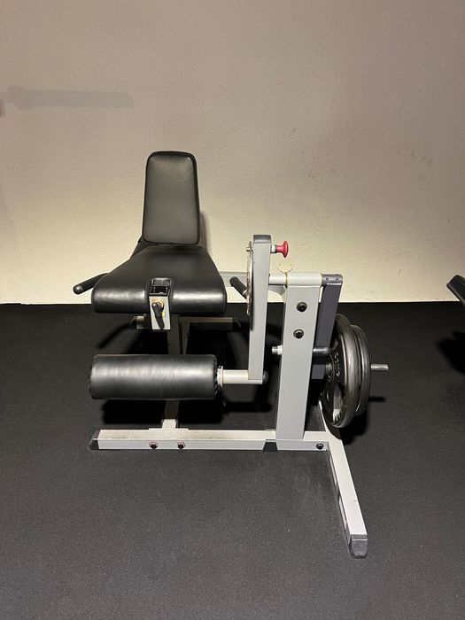 LEG extension/ LEG curl Reversível marca Body-Solid Leg