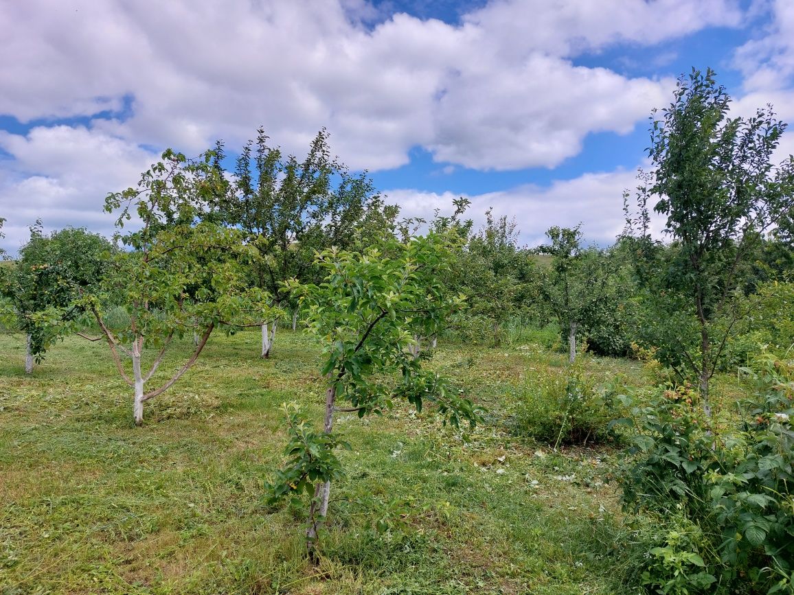 Продам будинок в с. Мілівці. Камянець подільський район Хмельницька об