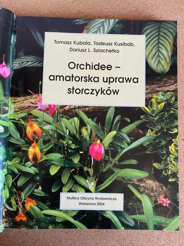 Orchidee - amatorska uprawa storczyków