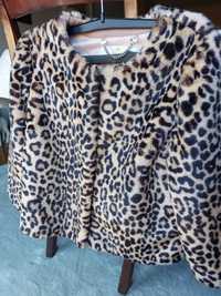 Casaco de pelo, animal print, Elisabetta Franchi