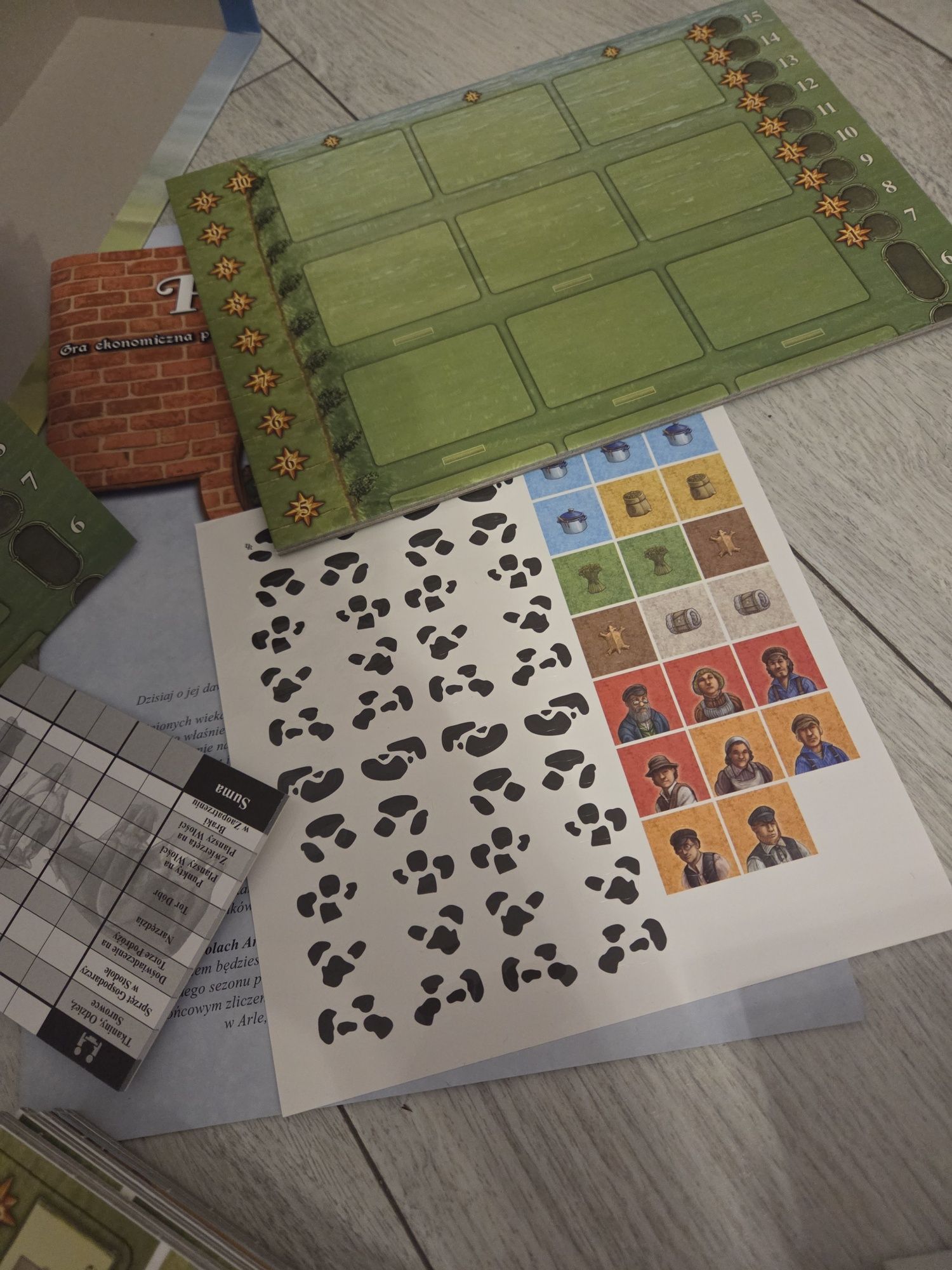 Pola Arle  gra PL / Fields of Arle nowa !