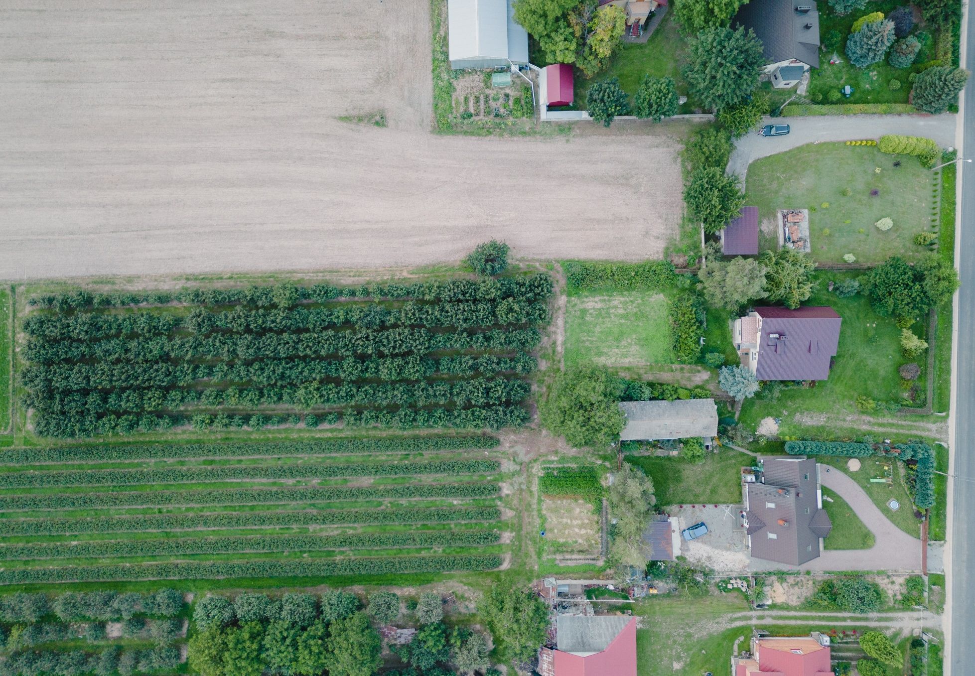 Dom z działką i ogrodem