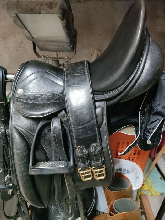 Vendo material de equitação