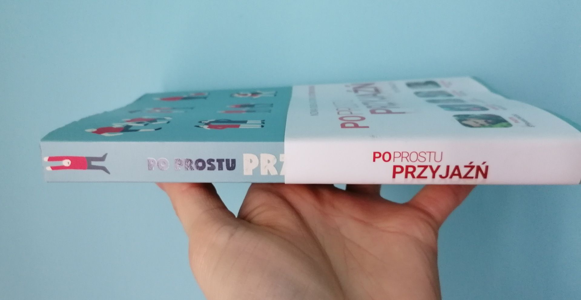 Po prostu przyjaźń
Autor Hanna Rydlewska