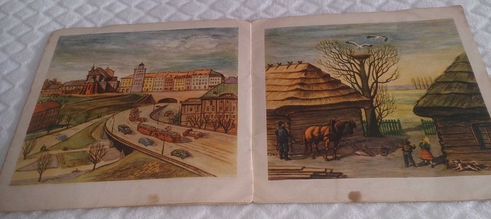 Roman Owidzki - Bociany wracają (Książka)