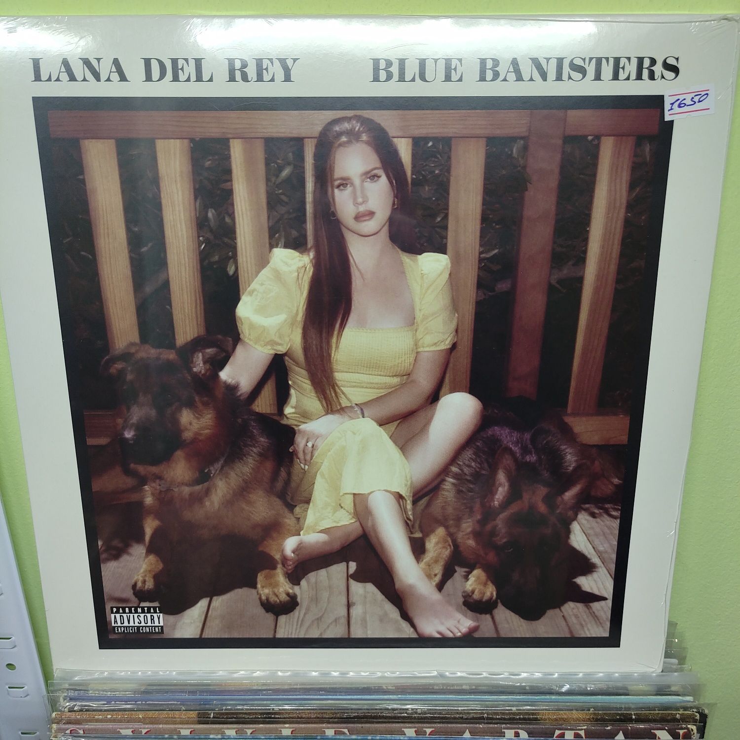 Lana Del Rey Blue banisters 2lp вініл платівка нова запакована