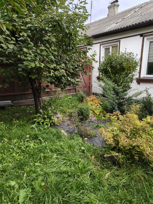 Центр міста. Оренда частина будинку з окремими своїм двором та входом.