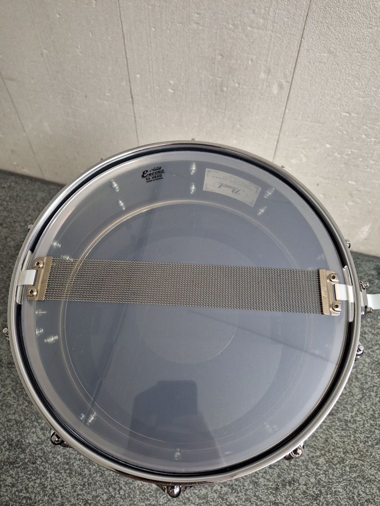 Werbel Pearl Chad Smith Signature 14"x5"
