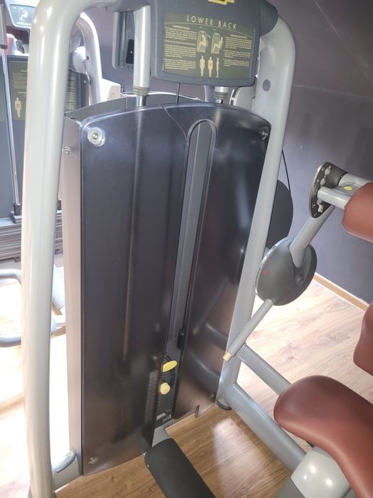 TECHNOGYM maszyna na prostowniki grzbietu