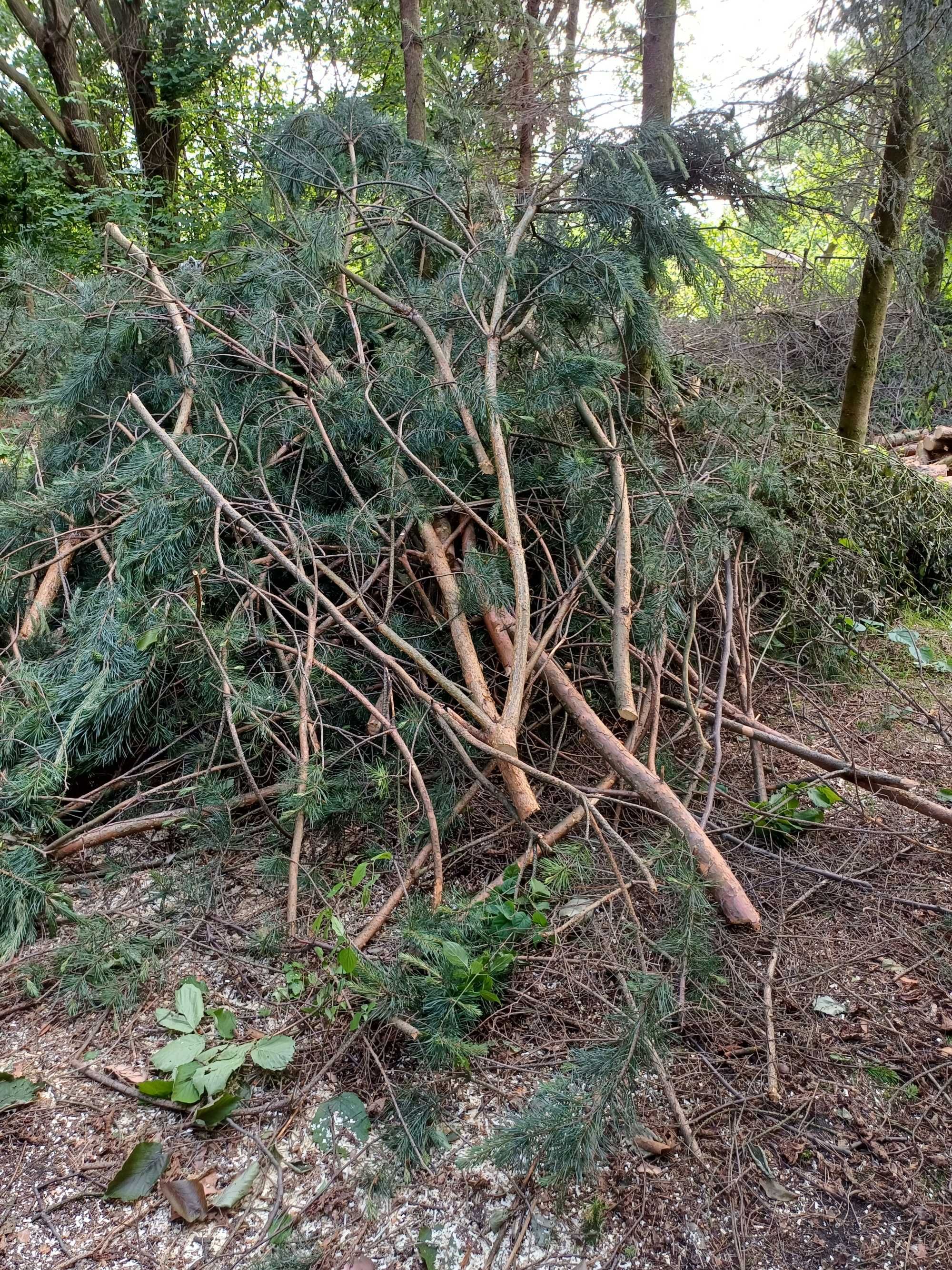 Drewno na opał plus gratis gałęzie