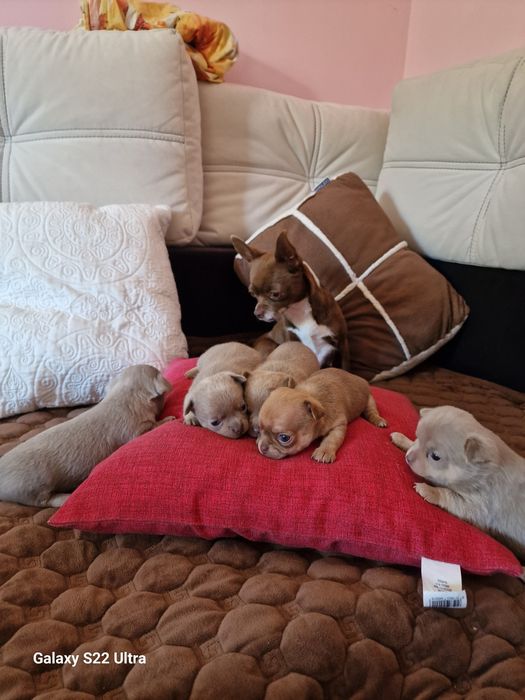 Продажу закінчено!