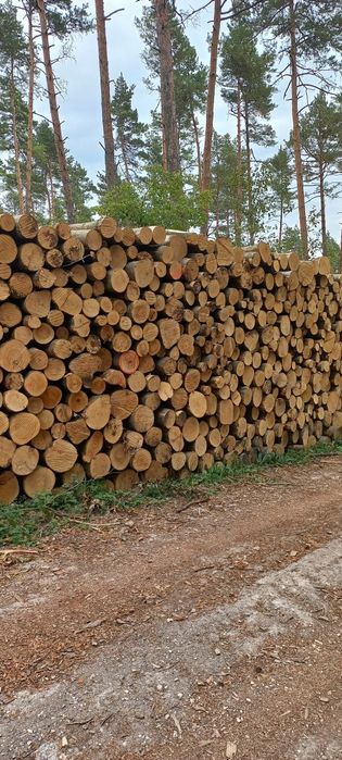 Drewno kominkowe - opałowe Grab Buk Dąb Jesion Brzoza Sosna
Oferowan