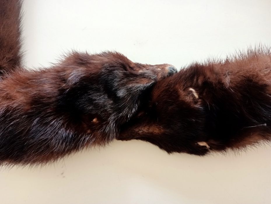 Estola com 2 cabeças de raposa