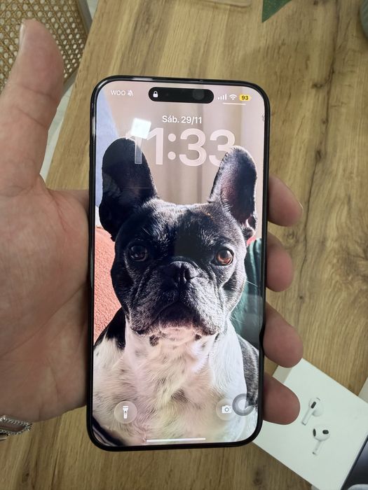 iPhone 15 Pro Max 256 GB – Ótimo estado