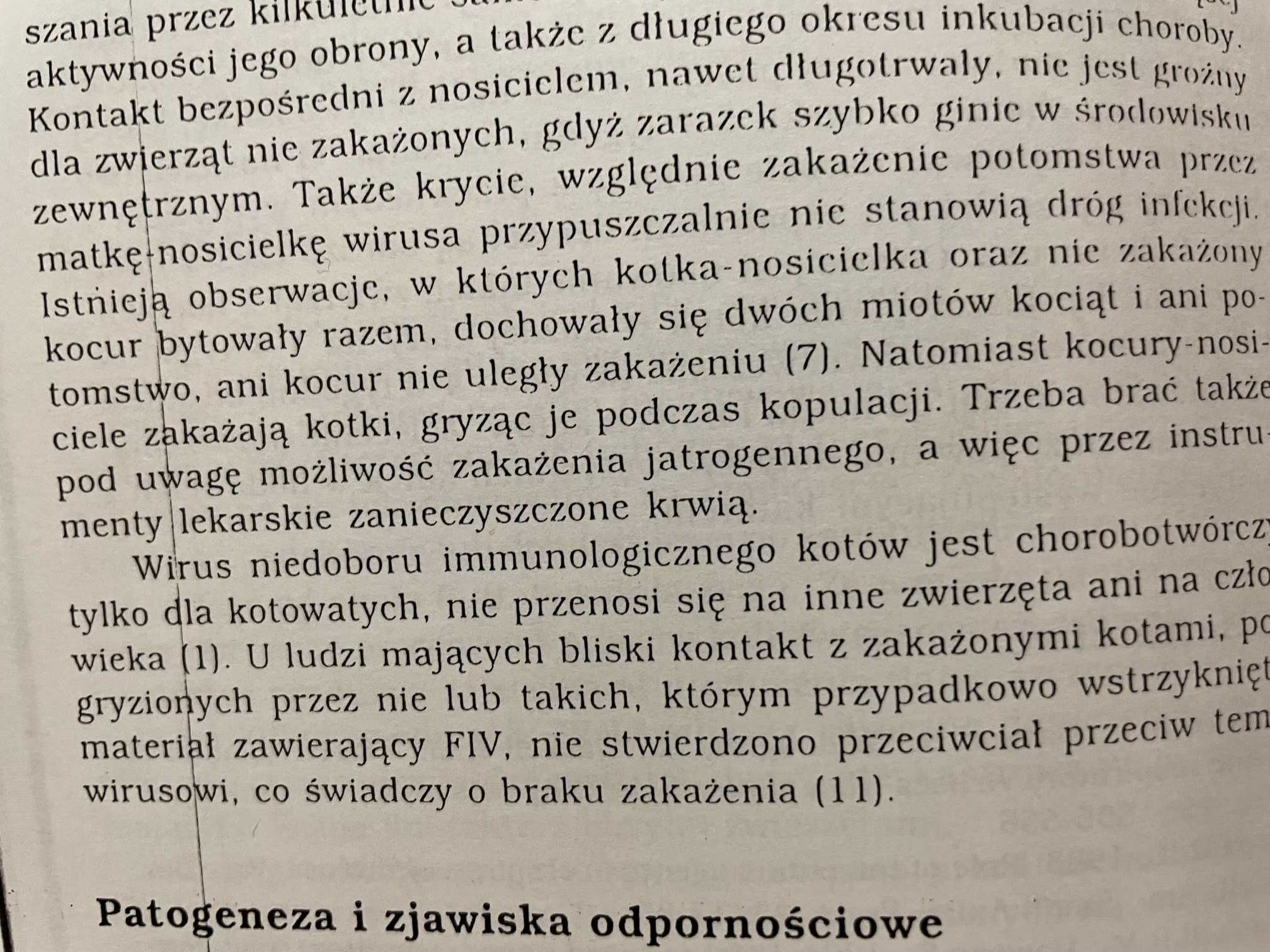 Najmilszy kot na świecie!