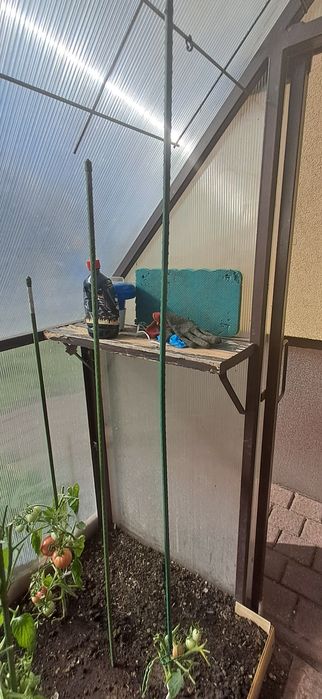 Przydomowa szklarnia z poliwęglanu