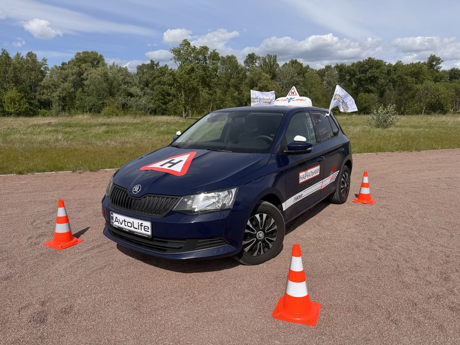 Приватний інструктор з водіння, Автоінструктор, Автошкола