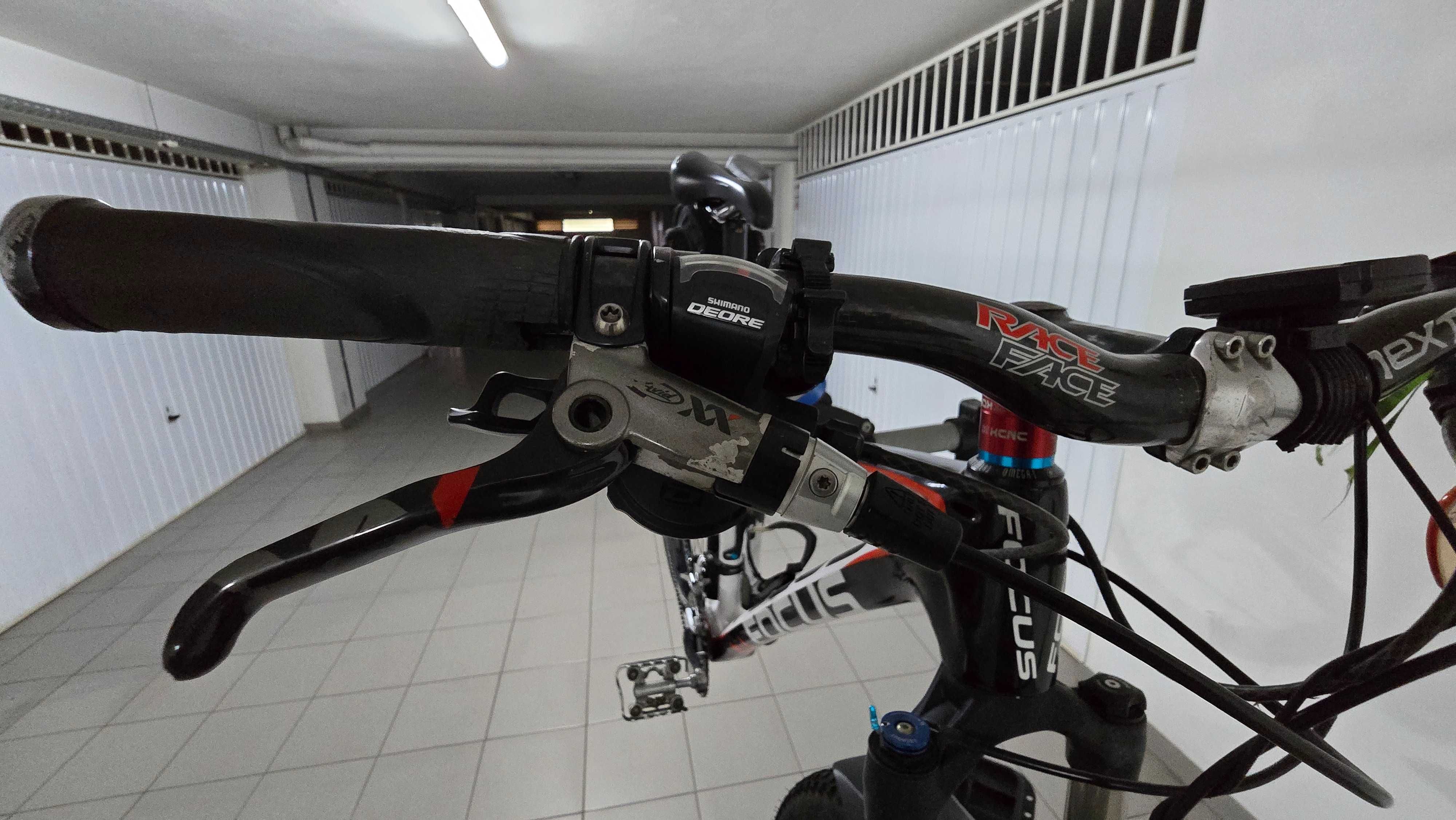 Focus raven 29R Carbono