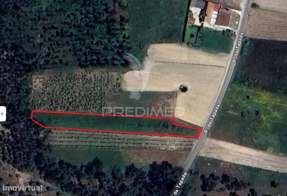 Terreno Rústico com 1.518 m² em Ouca – Vagos, Aveiro