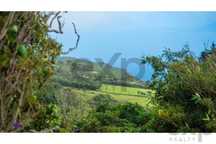 Moradia T1 + anexo independente com vista mar