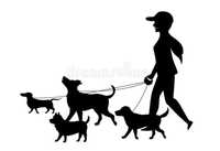 Dog walker | Passeadora de cães