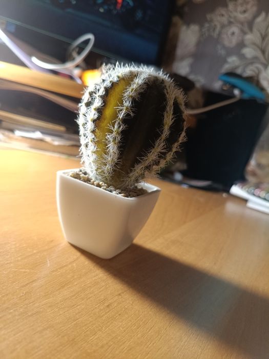 Продам декоративний кактус