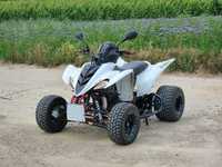 Yamaha Raptor 350 wszystkie części