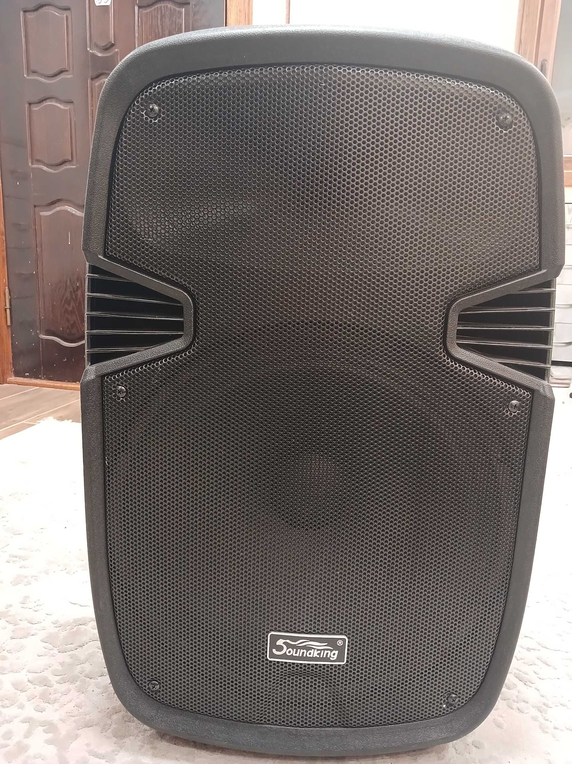 Колонка Sound King LS-911 з мікрофонами