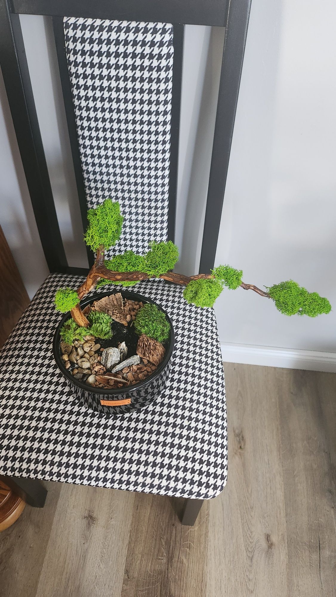 Drzewko bonsai z mchu